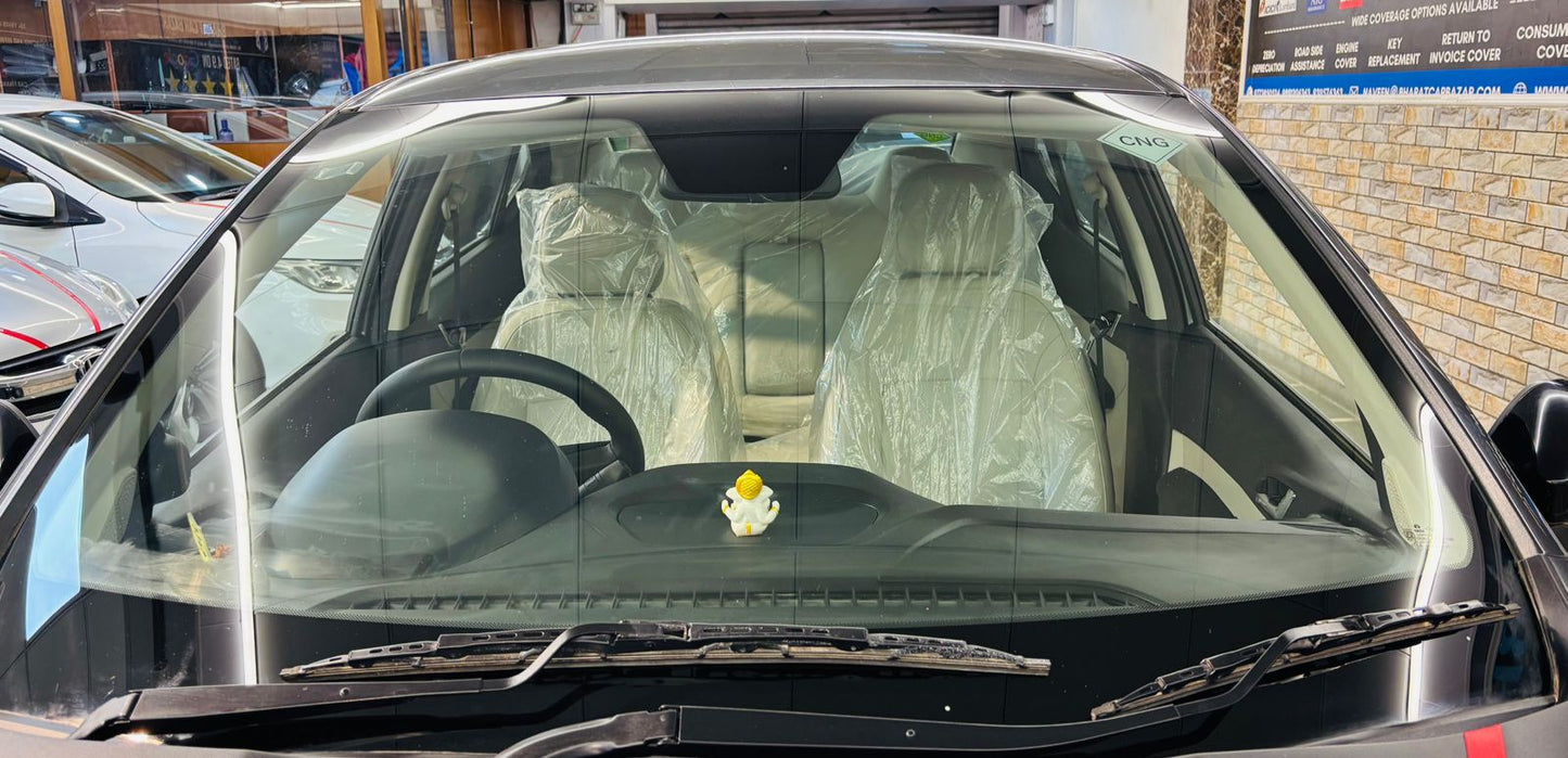 300 KMS TATA TIGOR XZ+ I-CNG (2023)